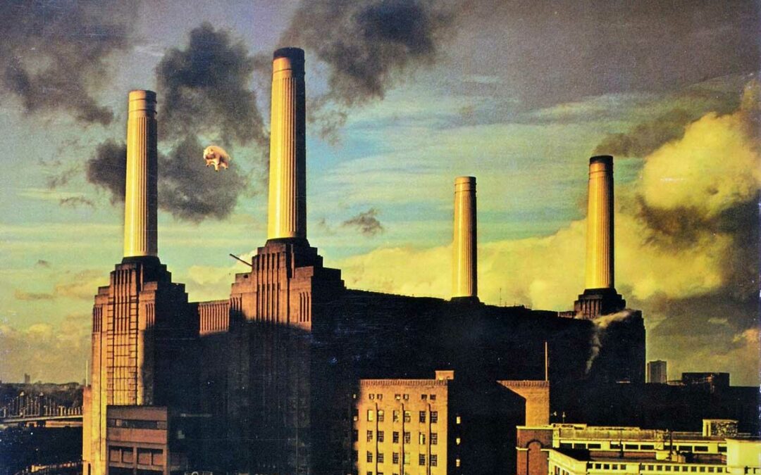 SYD: Pigs (Pink Floyd)