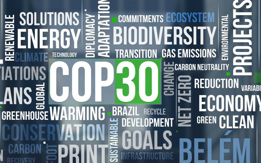 COP30: compromessi sul clima ma nessuna grande svolta